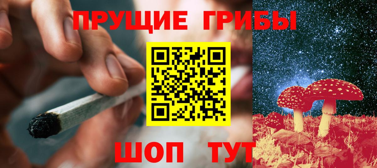 Можга  Галлюциногенные грибы GOLDEN TEACHER  продажа наркотиков  Вход с VPN 
